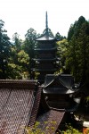 龍澤山善寳寺 五重塔 遠景の画像