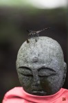 蜻蛉、地蔵の画像