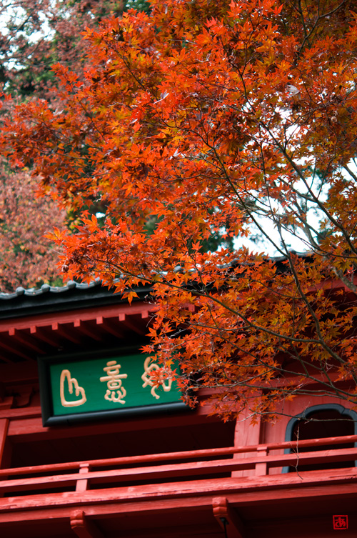 鐘楼門、紅葉の画像